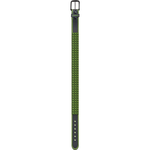 AMPLIFI Stud Team Belt